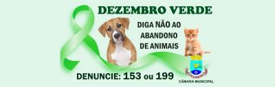 Imagem destaque da notícia